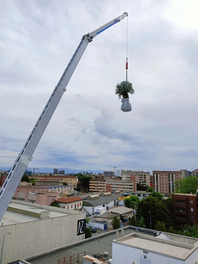 Realizzazione Terrazzi e Giardini